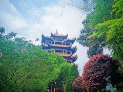 -黄鹤楼