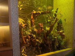-泰适SPA馆丨精油·按摩·足道(后海地铁口店)