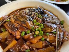 -张鸟园农家乐(张鸟园店)