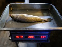 -新荣记(西溪湿地店)