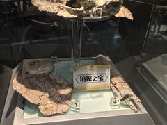 -河南自然博物馆