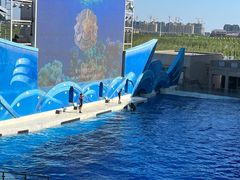 -上海海昌海洋公园