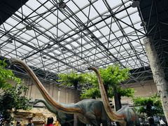 -国家自然博物馆