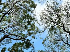 -重庆中央公园(渝北区)