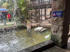 -北海海底世界