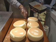 -狐狸和向日葵(北京路店)