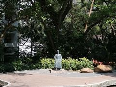 -香港大学