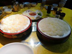 -鸽王世家(东华东路店)
