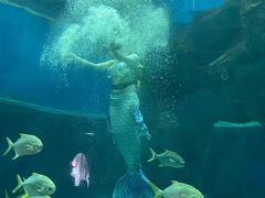 -北海·海洋之窗