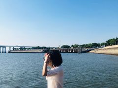 -海豚湾扬帆出海帆船游艇