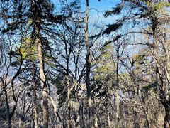 -终南山南五台景区