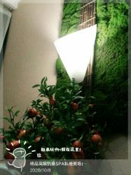 -琦品高端美容SPA会所