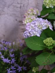 -HeyJewel全球独立设计师原创首饰集合店