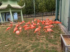 -秦皇岛野生动物园