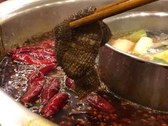 -大龙火锅(老店)
