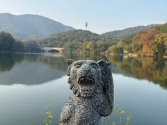 -杭州半山国家森林公园