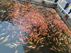 -番禺宾馆丽苑厅