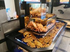 -蟹道乐(道顿堀本店)