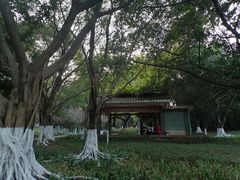 -玉树公园