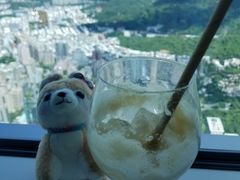 -随意鸟地方101观景餐厅
