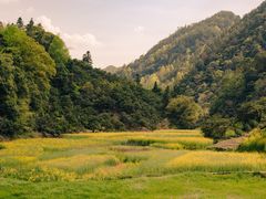 -新安江山水画廊风景区