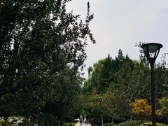 -元大都城垣遗址公园