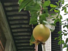-龙潭水乡