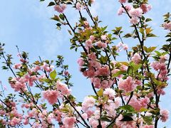 -观澜湖生态运动公社