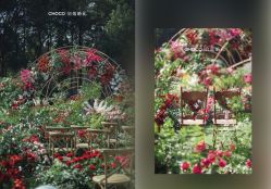 -CHOCO-启蔻婚礼(三亚公司)