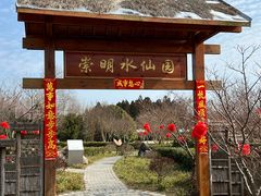 -东平国家森林公园