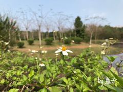 -白沙门生态公园