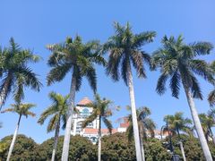 -厦门大学(思明校区)