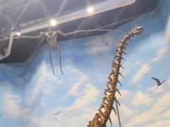 -辽宁古生物博物馆