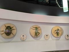 -陕西自然博物馆