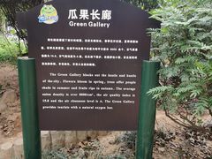 -海上田园