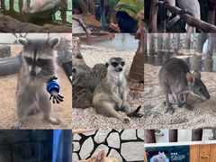 -海合安武汉极地海洋公园