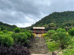 -广州市石门国家森林公园