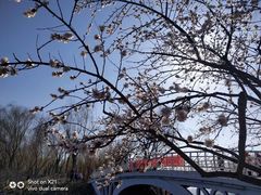 门面-大兴滨河森林公园