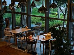 -了不起的考拉咖啡店(高新店)