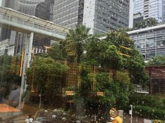 -粤集·手工粤菜(皇庭广场店)