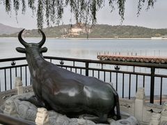 -颐和园