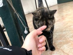 -天地無用GAME BAR