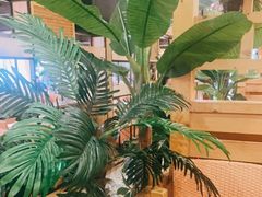 -四季合味椰子鸡(南山大冲店)