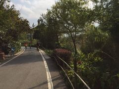 -贵阳市花溪国家城市湿地公园