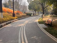 -堤角公园