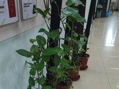 -慈铭体检(世纪城分院)