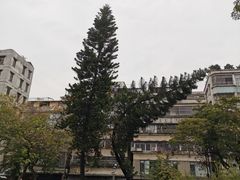 -垂虹公园