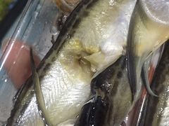 -元初食品(幸福e家小区店)