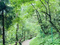 -九峰山