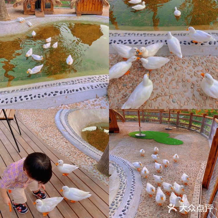 珠海海泉湾小矮人部落，梦想中的童话世界🏕